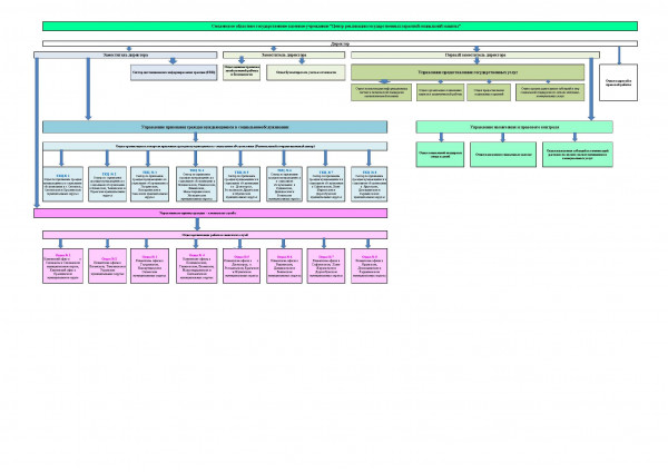 struktura-uchrezhdeniya