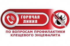 о Всероссийской горячей линии по профилактике клещевого энцефалита и инфекций, передающихся клещами - фото - 1