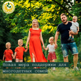 новая мера поддержки для многодетных семей - фото - 1