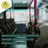 информация об услуге «Предоставление бесплатного проезда обучающимся из многодетных семей» - фото - 1