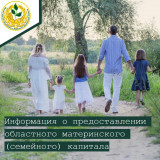 информация о предоставлении областного материнского (семейного) капитала - фото - 1