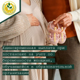 информация о единовременной выплате при постановке на учет по беременности женщине, обучающейся в организации, осуществляющей образовательную деятельность - фото - 1