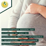 информация о единовременной выплате при постановке на учет по беременности женщине, обучающейся в организации, осуществляющей образовательную деятельность - фото - 1
